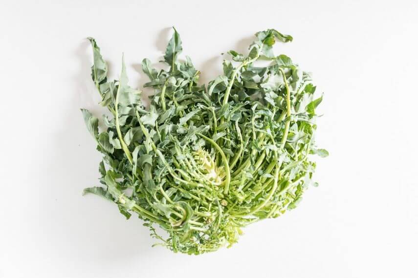 Broccolo Fiolaro